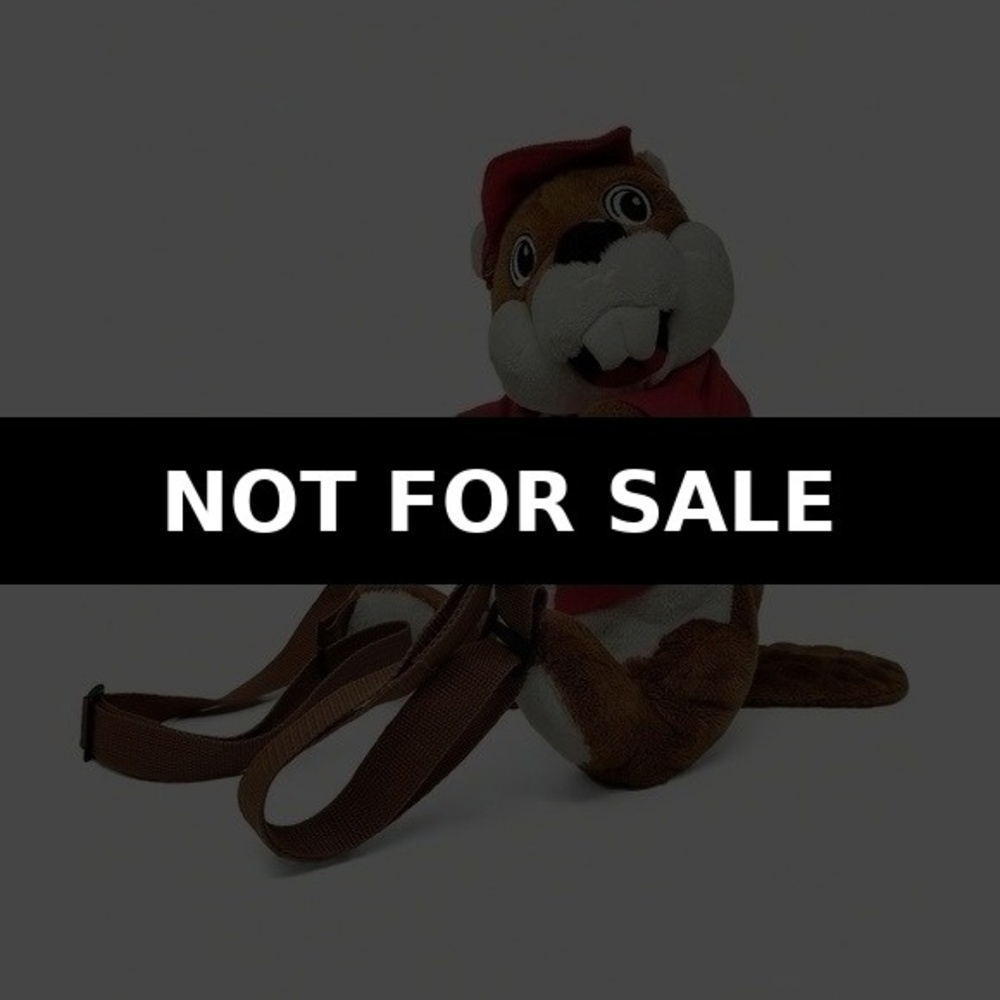 JAAG Buc-ees Beaver Plush Backpack Soft Polyester Mascot Travel Bag School 13in